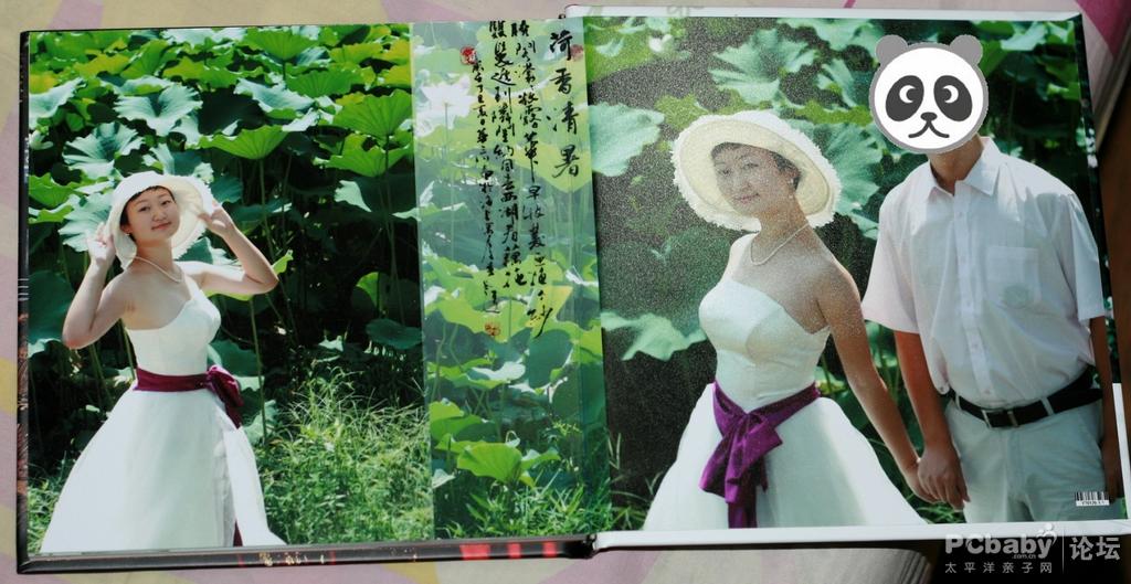 荷塘月色，哈哈，只能想想